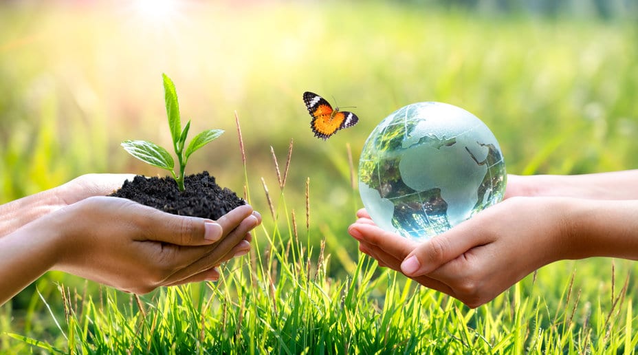 Jouer en ligne gratuitement pour protéger la nature